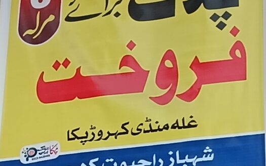 6 Marla plot for sale