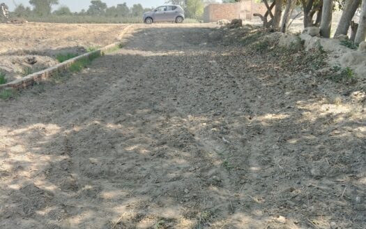 6 Marlah plot for sel