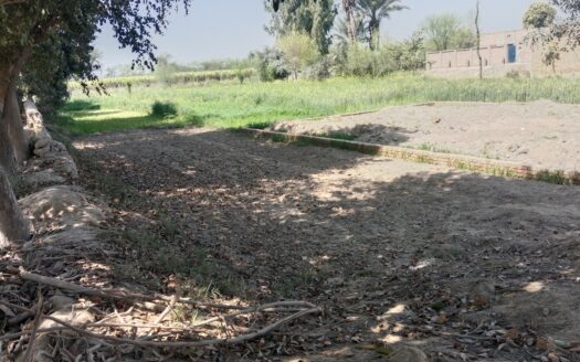 6 Marlah plot for sel