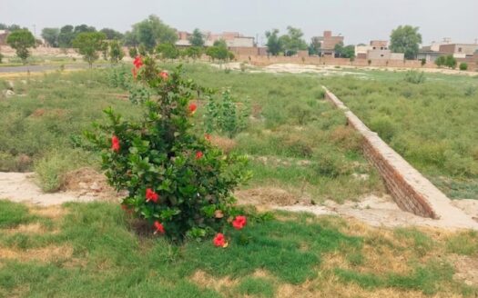 Corner Plot For Sale 5.43 Marla Umar City Colony