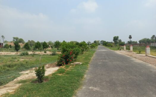 Corner Plot For Sale 5.43 Marla Umar City Colony