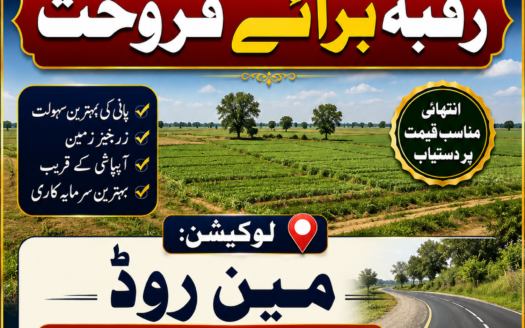 تیرہ ایکڑ رقبہ برائے فروخت