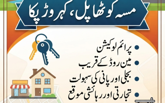 دکانیں اور مکان برائے فروخت